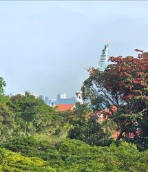 Seaside Residences (D15), Apartment #548708531